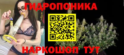 эйфоретик Лесосибирск